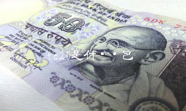 tc20是什么钱包-第1张图片-芝麻交易所下载