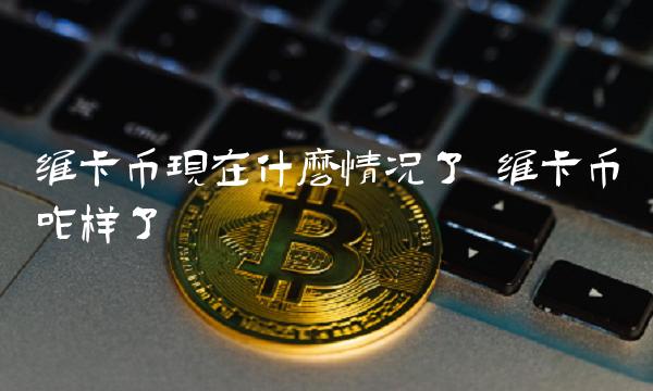 维卡币现在什么情况了 维卡币咋样了-第1张图片-芝麻交易所下载