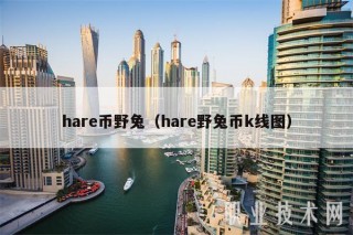 har币野兔（har野兔币k线图