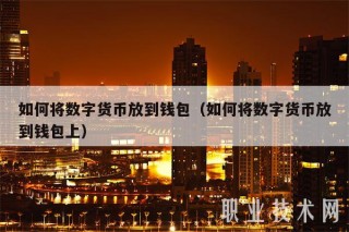如何将数字货币放到钱包（如何将数字货币放到钱包上