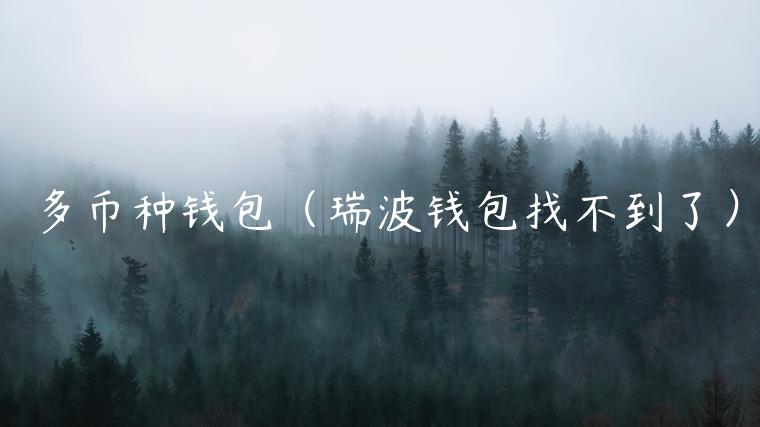 多币种钱包（瑞波钱包找不到了）-第1张图片-芝麻交易所下载
