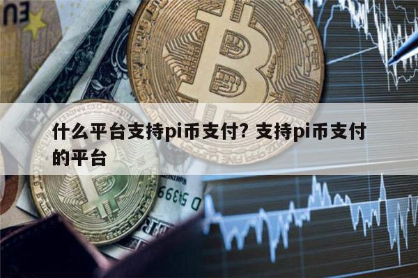 paypal支持pi币吗 国内哪些地方支持pi币支付-第1张图片-芝麻交易所下载