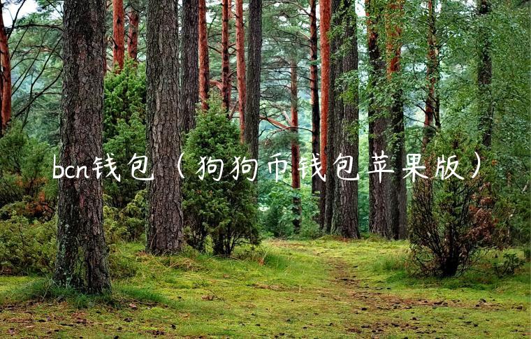 bcn钱包（狗狗币钱包苹果版）-第1张图片-芝麻交易所下载