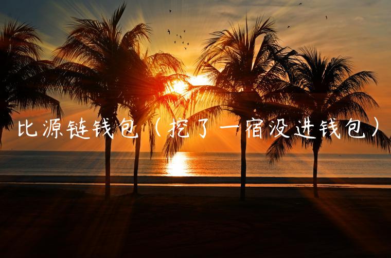 比源链钱包（挖了一宿没进钱包）-第1张图片-芝麻交易所下载