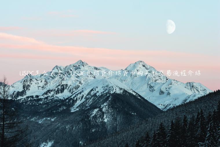 USDC怎么买卖，USDC介绍货介绍货币购买和交易流程介绍-第1张图片-芝麻交易所下载