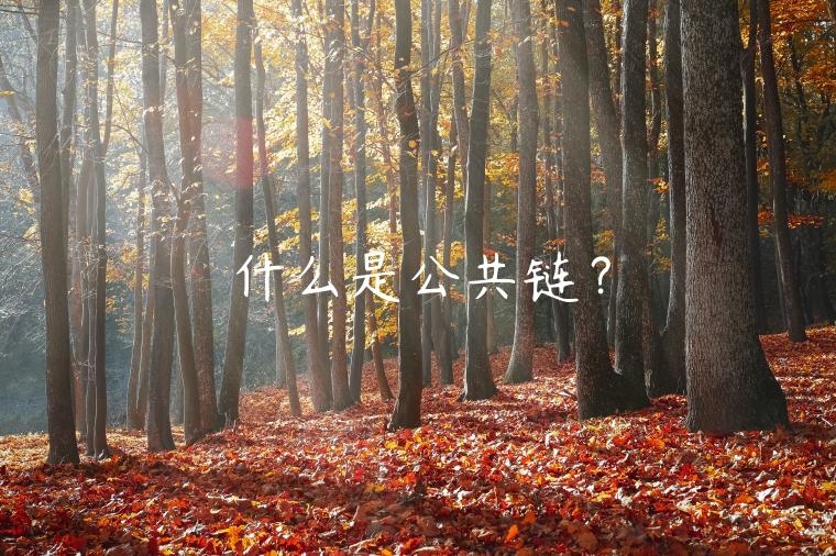 什么是公共链？-第1张图片-芝麻交易所下载
