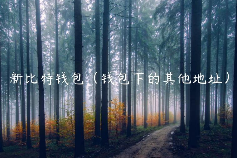 新比特钱包（钱包下的其他地址）-第1张图片-芝麻交易所下载