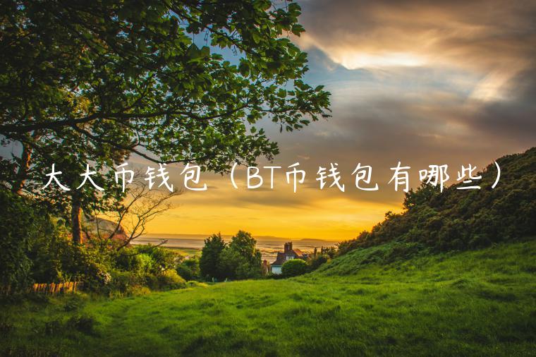 大大币钱包（BT币钱包有哪些）-第1张图片-芝麻交易所下载