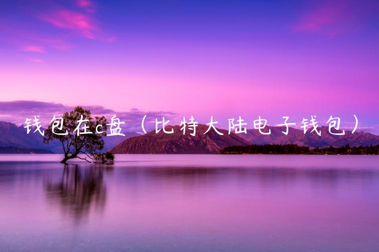 钱包在c盘（比特大陆电子钱包）-第1张图片-芝麻交易所下载