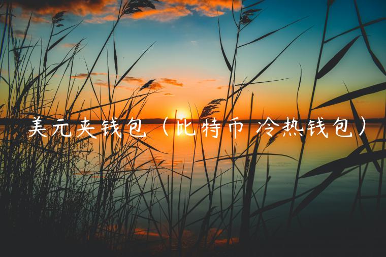 美元夹钱包（比特币 冷热钱包）-第1张图片-芝麻交易所下载