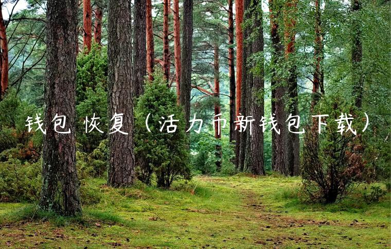 钱包 恢复（活力币新钱包下载）-第1张图片-芝麻交易所下载