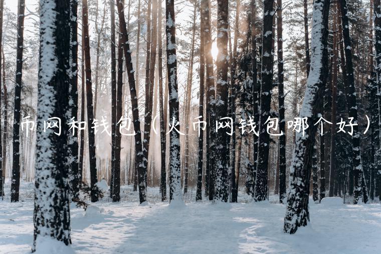 币网和钱包（火币网钱包哪个好）-第1张图片-芝麻交易所下载
