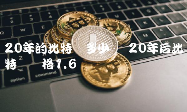 20年后比特币价格1.6亿-第1张图片-芝麻交易所下载