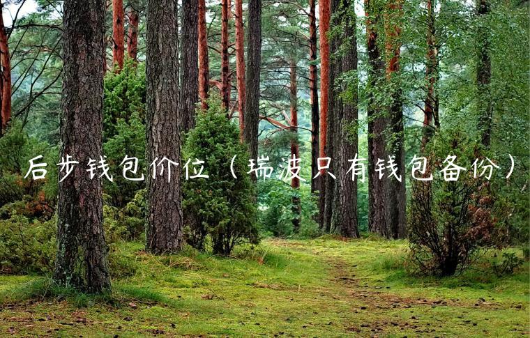 后步钱包价位（瑞波只有钱包备份）-第1张图片-芝麻交易所下载