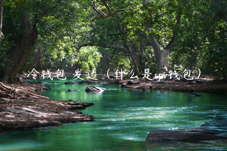 冷钱包 发送（什么是spv钱包）-第1张图片-芝麻交易所下载