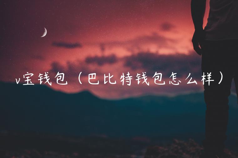 v宝钱包（巴比特钱包怎么样）-第1张图片-芝麻交易所下载