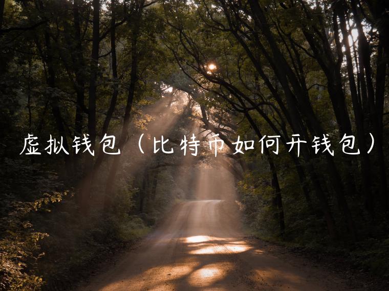 虚拟钱包（比特币如何开钱包）-第1张图片-芝麻交易所下载