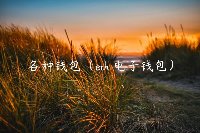 各种钱包（th 电子钱包）-第1张图片-芝麻交易所下载