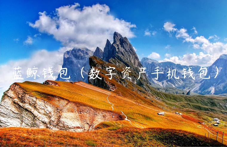 蓝鲸钱包（数字资产手机钱包）-第1张图片-芝麻交易所下载