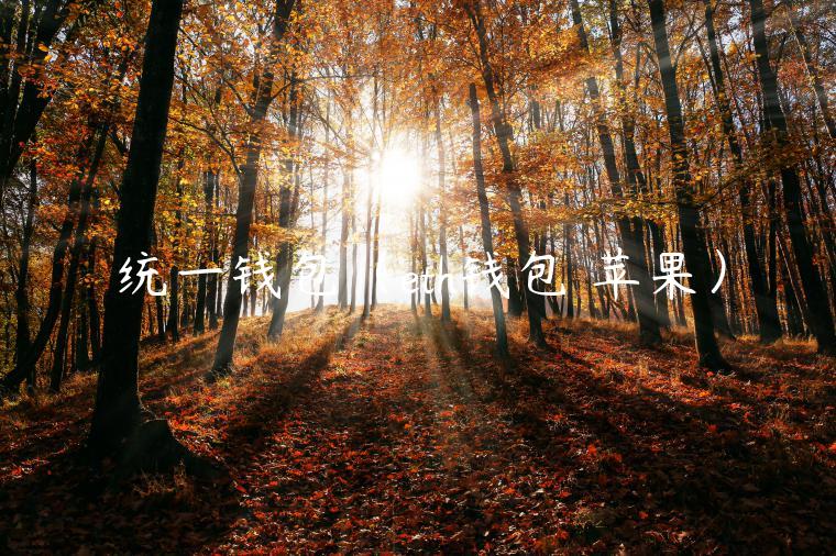 统一钱包（th钱包 苹果）-第1张图片-芝麻交易所下载