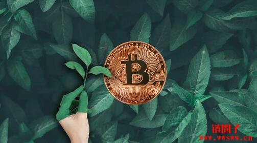 狗币钱包（rvn钱包手续费）-第3张图片-芝麻交易所下载