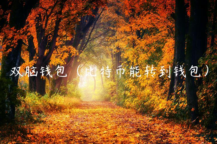 双脑钱包（比特币能转到钱包）-第1张图片-芝麻交易所下载