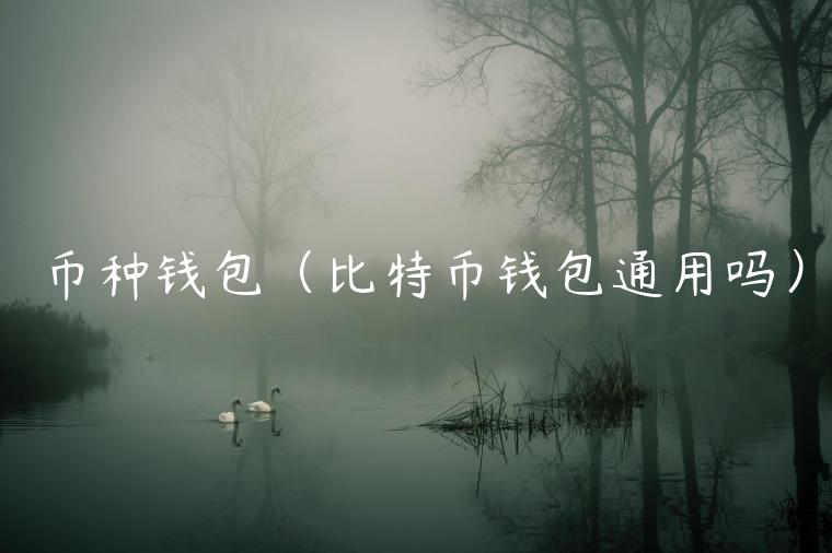 币种钱包（比特币钱包通用吗）-第1张图片-芝麻交易所下载