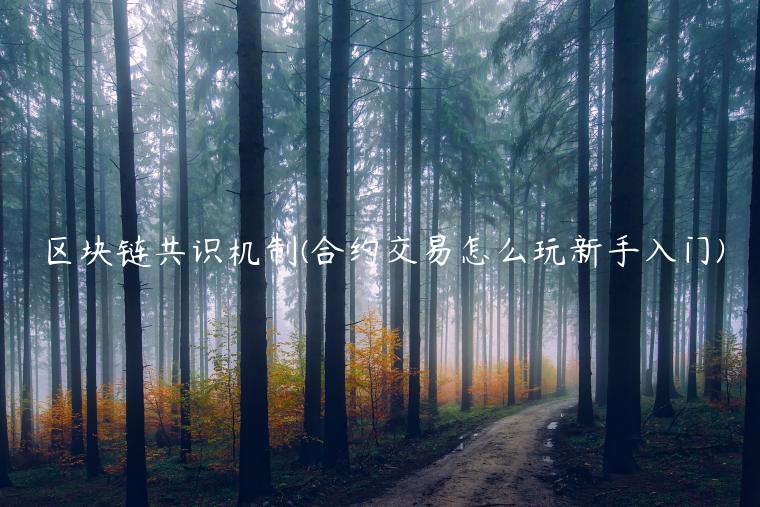 区块链共识机制 - 合约交易怎么玩新手入门-第1张图片-芝麻交易所下载