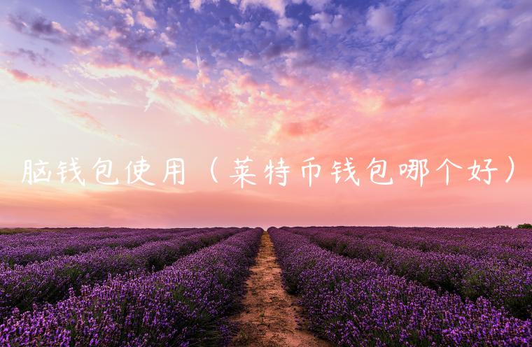 脑钱包使用（莱特币钱包哪个好）-第1张图片-芝麻交易所下载