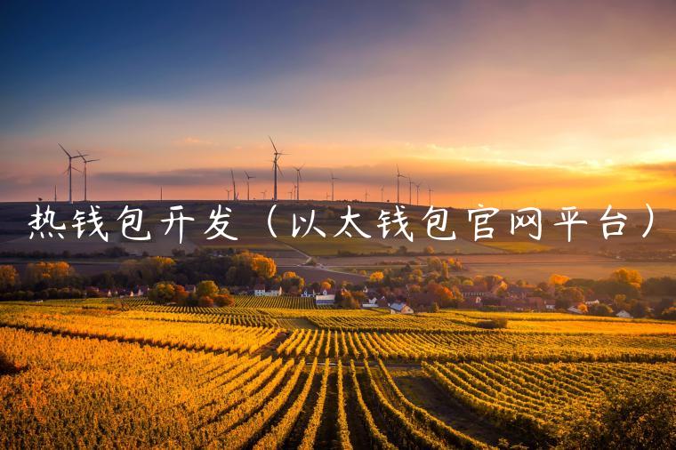 热钱包开发（以太钱包官网平台）-第1张图片-芝麻交易所下载