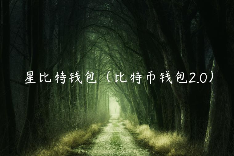 星比特钱包（比特币钱包2.0）-第1张图片-芝麻交易所下载