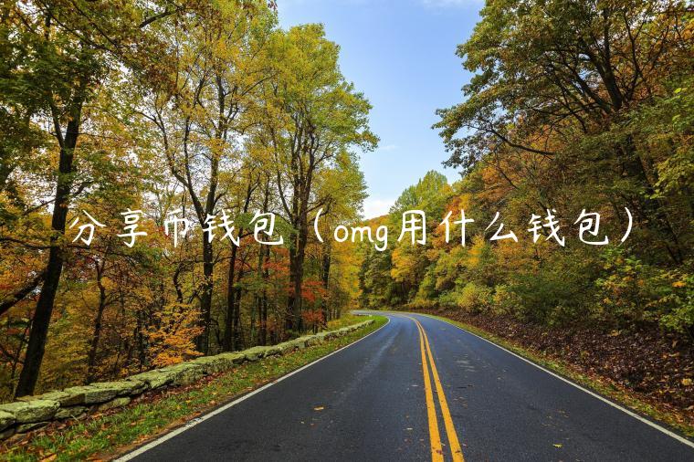 分享币钱包（omg用什么钱包）-第1张图片-芝麻交易所下载