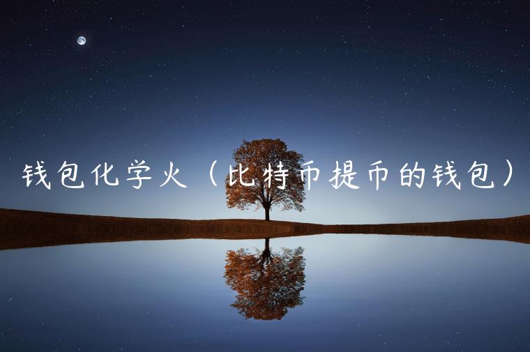钱包化学火（比特币提币的钱包）-第1张图片-芝麻交易所下载