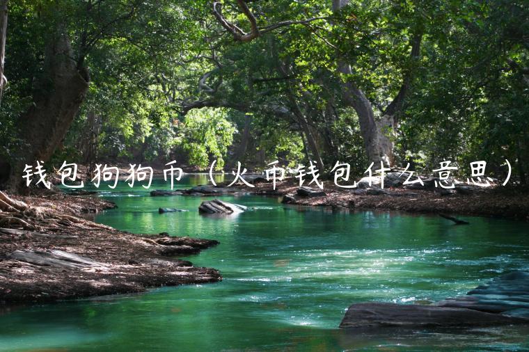 钱包狗狗币（火币钱包什么意思）-第1张图片-芝麻交易所下载