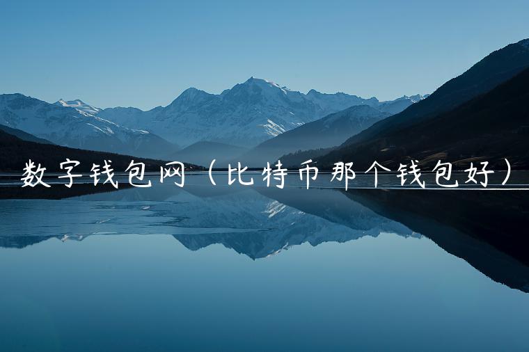 数字钱包网（比特币那个钱包好）-第1张图片-芝麻交易所下载