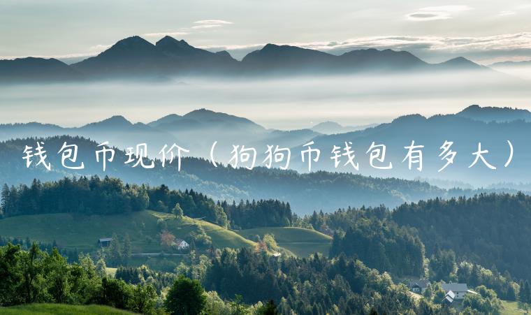 钱包币现价（狗狗币钱包有多大）-第1张图片-芝麻交易所下载