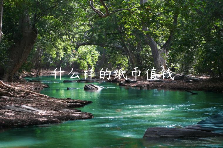 什么样的纸币值钱-第1张图片-芝麻交易所下载