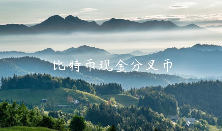 比特币现金分叉币-第1张图片-芝麻交易所下载