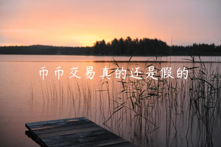 币币交易真的还是假的-第1张图片-芝麻交易所下载