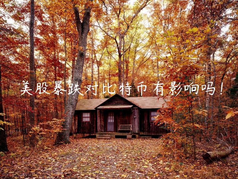 美股暴跌对比特币有影响吗！-第1张图片-芝麻交易所下载
