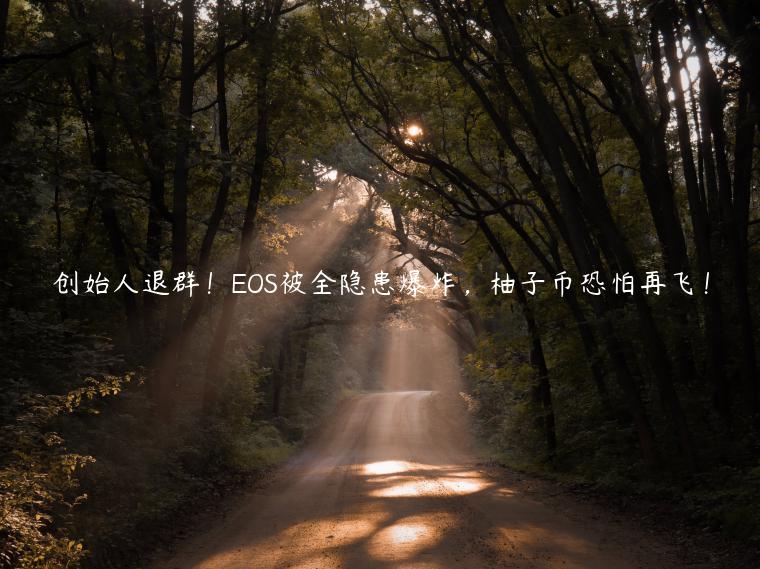 创始人退群！OS被全隐患爆炸，柚子币恐怕再飞！-第1张图片-芝麻交易所下载
