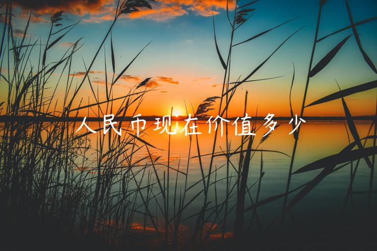 人民币现在价值多少-第1张图片-芝麻交易所下载