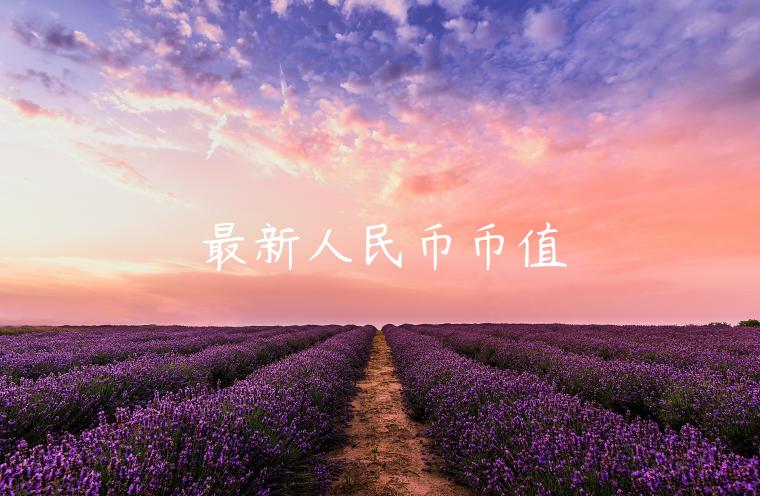 最新人民币币值-第1张图片-芝麻交易所下载