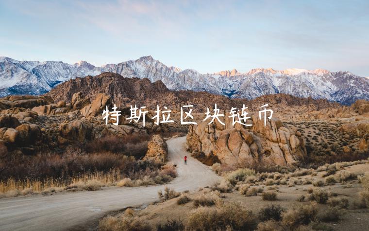 特斯拉区块链币-第1张图片-芝麻交易所下载