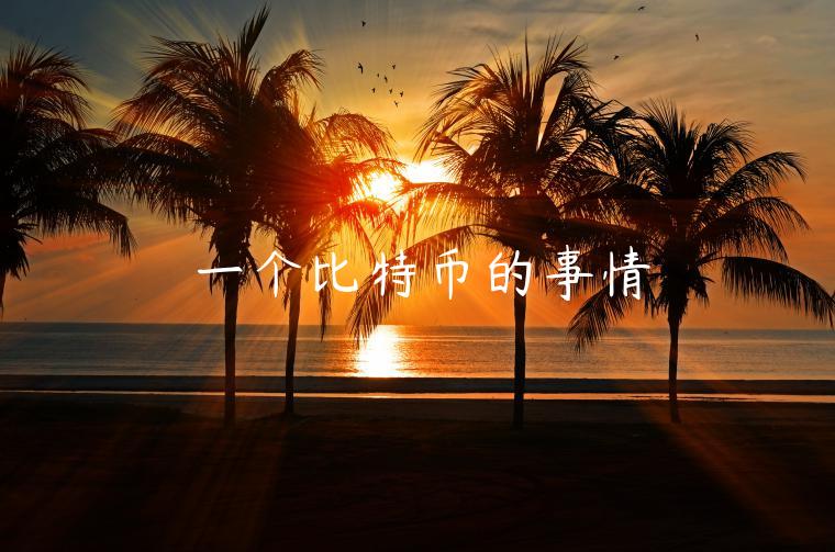一个比特币的事情-第1张图片-芝麻交易所下载