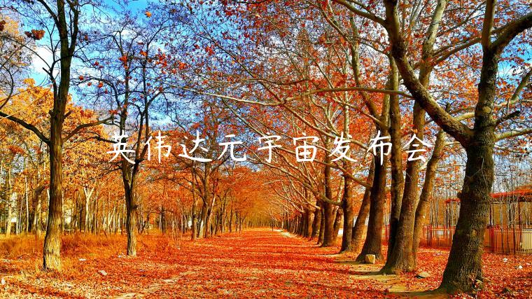 英伟达元宇宙发布会-第1张图片-芝麻交易所下载