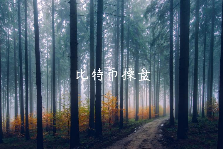 比特币操盘-第1张图片-芝麻交易所下载