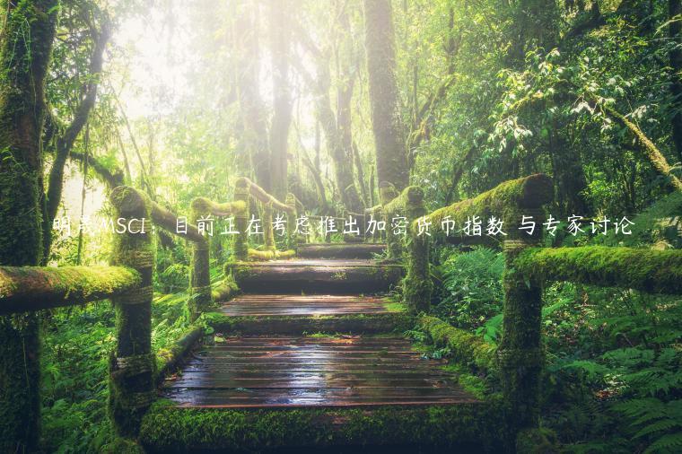 明晟MSCI：目前正在考虑推出加密货币指数 与专家讨论-第1张图片-芝麻交易所下载