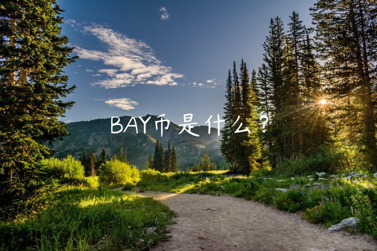 BAY币是什么？-第1张图片-芝麻交易所下载
