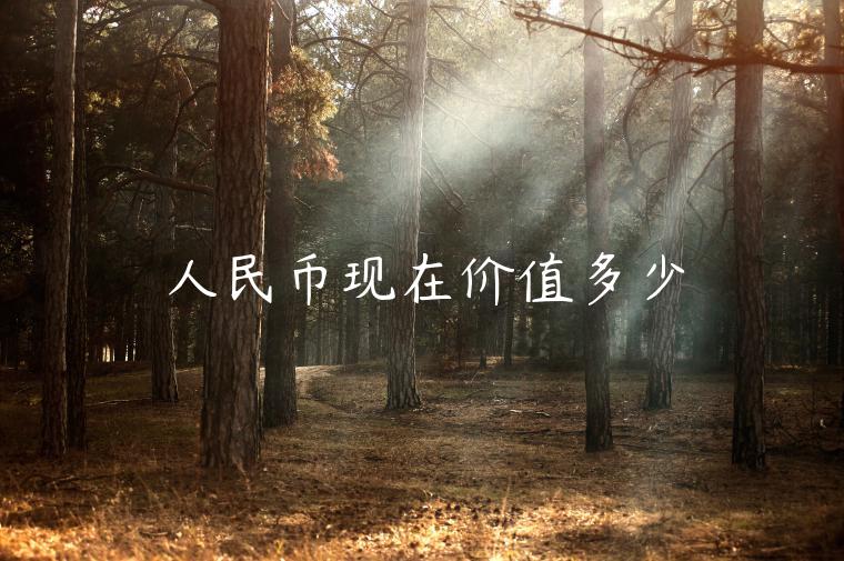 人民币现在价值多少-第1张图片-芝麻交易所下载